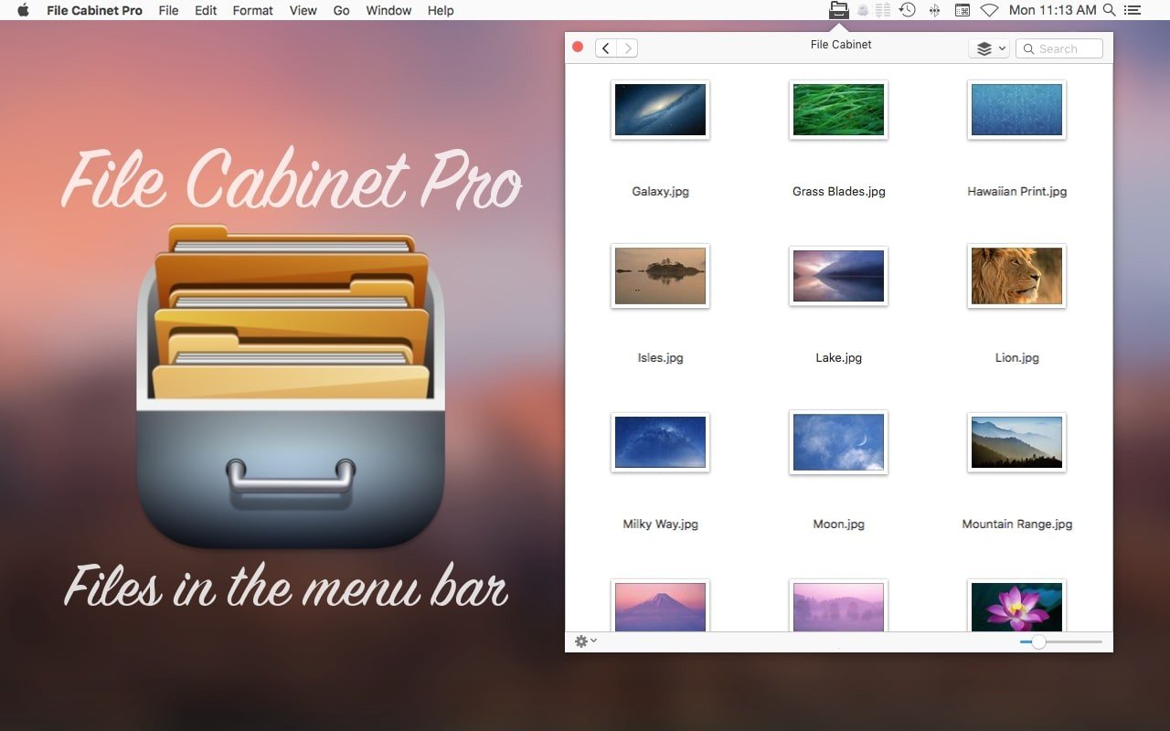 File Cabinet Pro Screenshot 4